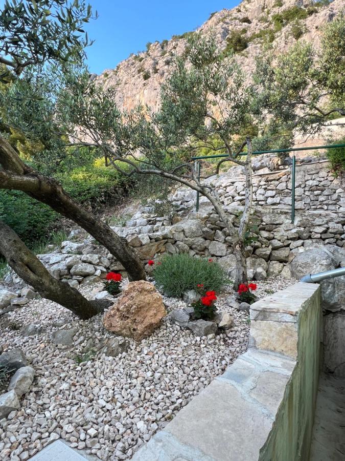 Villa Pelargonia Makarska Luaran gambar